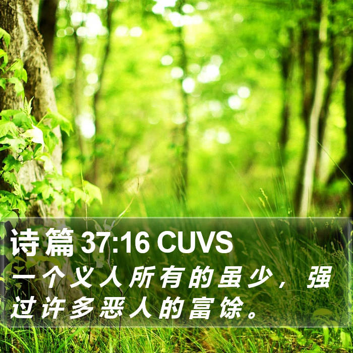 诗 篇 37:16 CUVS Bible Study