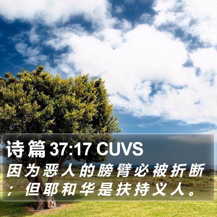 诗 篇 37:17 CUVS Bible Study