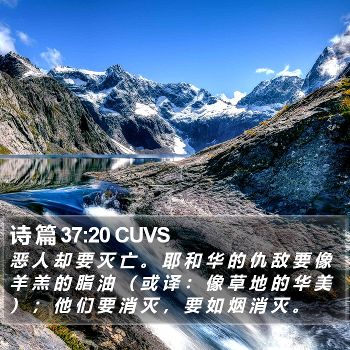 诗 篇 37:20 CUVS Bible Study