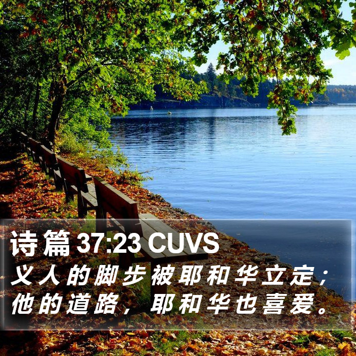 诗 篇 37:23 CUVS Bible Study