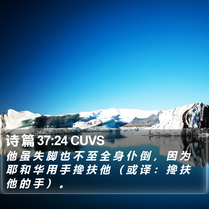 诗 篇 37:24 CUVS Bible Study