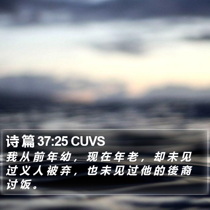 诗 篇 37:25 CUVS Bible Study