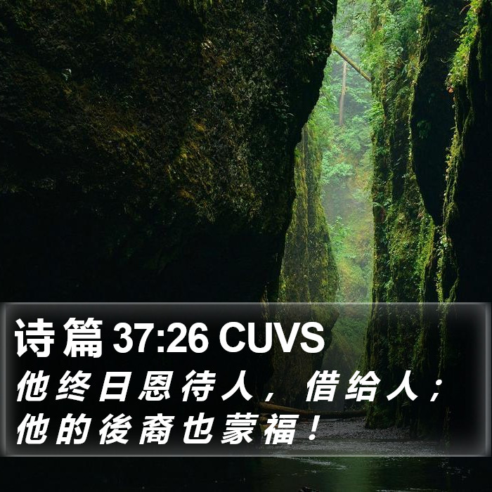 诗 篇 37:26 CUVS Bible Study