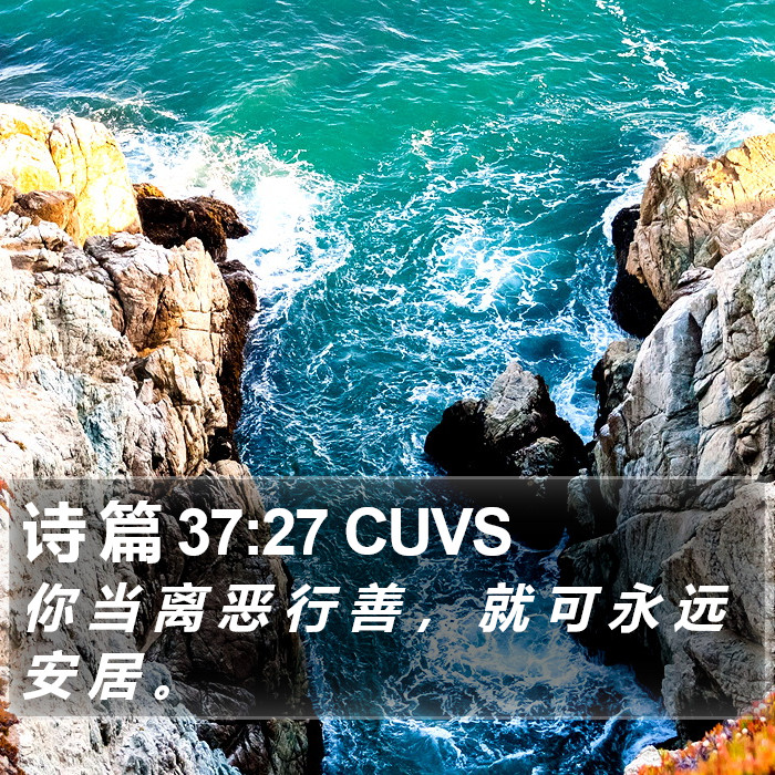 诗 篇 37:27 CUVS Bible Study