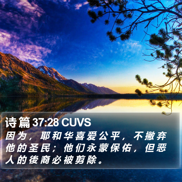 诗 篇 37:28 CUVS Bible Study