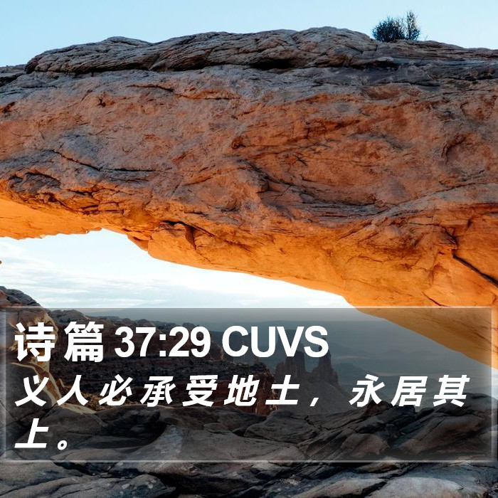 诗 篇 37:29 CUVS Bible Study