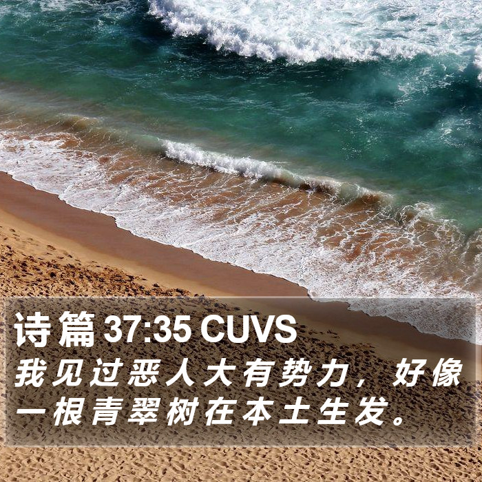 诗 篇 37:35 CUVS Bible Study