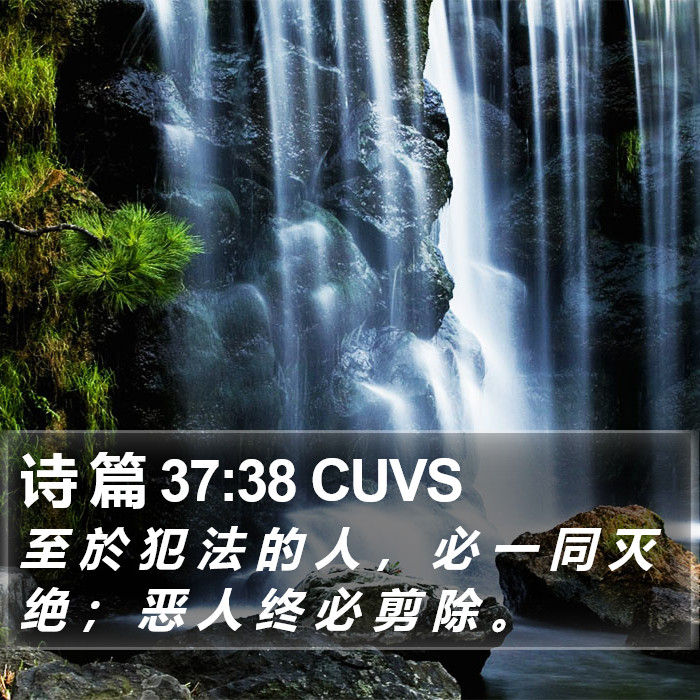 诗 篇 37:38 CUVS Bible Study