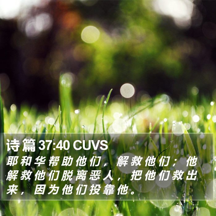 诗 篇 37:40 CUVS Bible Study