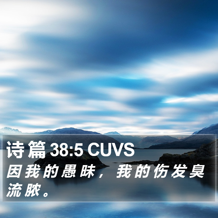 诗 篇 38:5 CUVS Bible Study