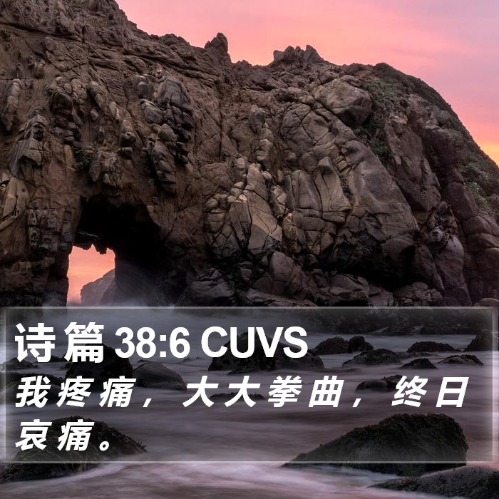 诗 篇 38:6 CUVS Bible Study