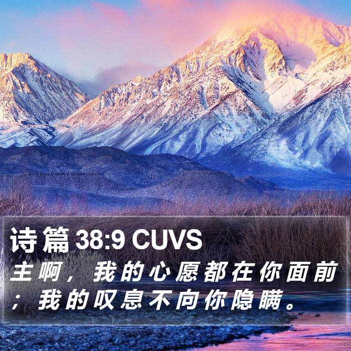 诗 篇 38:9 CUVS Bible Study