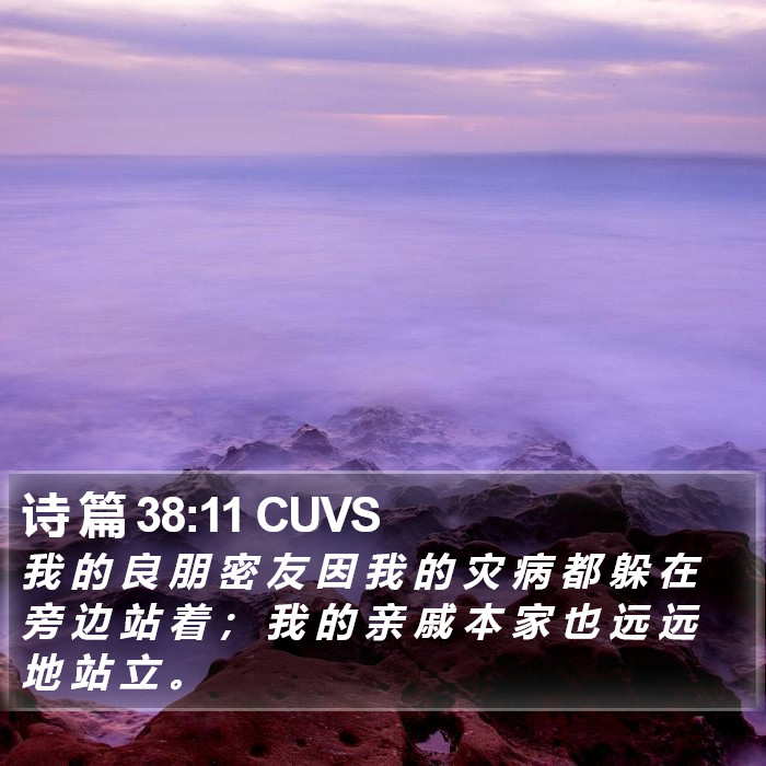 诗 篇 38:11 CUVS Bible Study