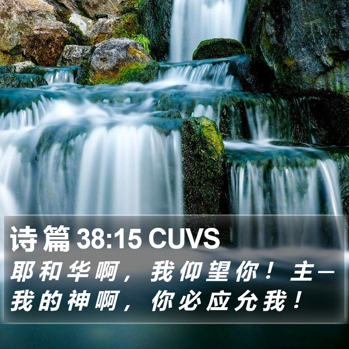 诗 篇 38:15 CUVS Bible Study