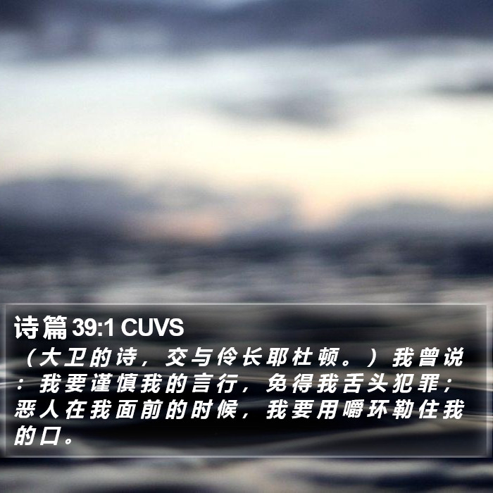 诗 篇 39:1 CUVS Bible Study