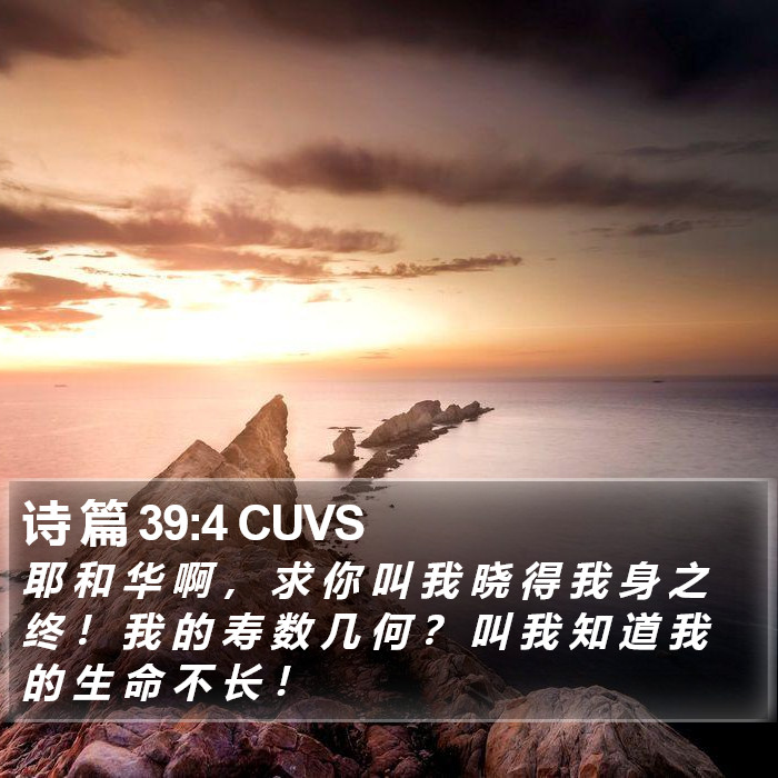 诗 篇 39:4 CUVS Bible Study