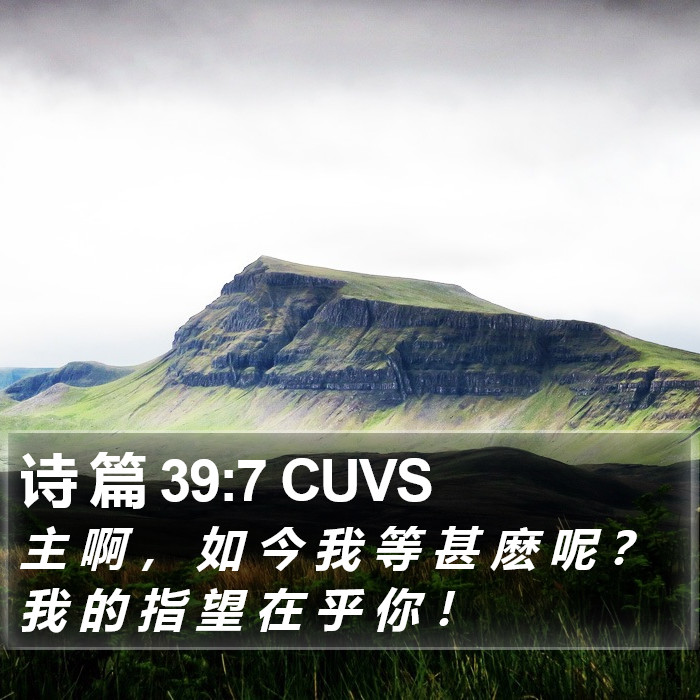诗 篇 39:7 CUVS Bible Study