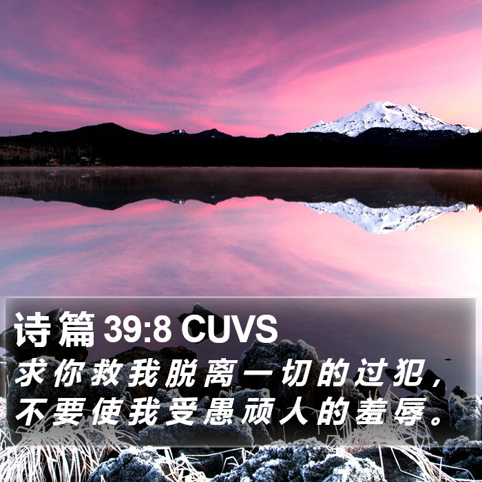 诗 篇 39:8 CUVS Bible Study