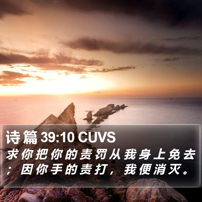 诗 篇 39:10 CUVS Bible Study