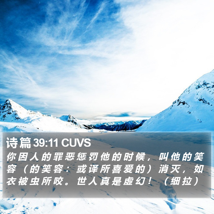 诗 篇 39:11 CUVS Bible Study
