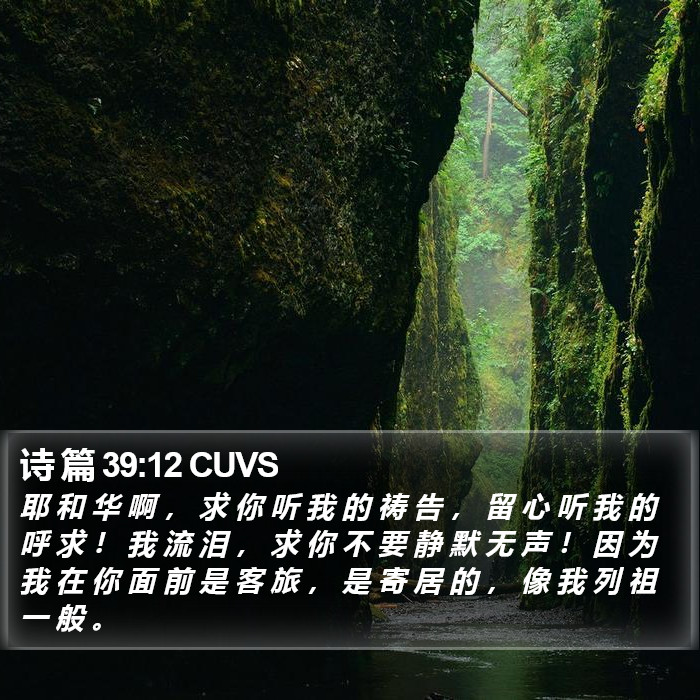 诗 篇 39:12 CUVS Bible Study