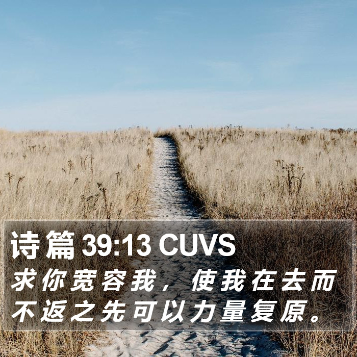 诗 篇 39:13 CUVS Bible Study
