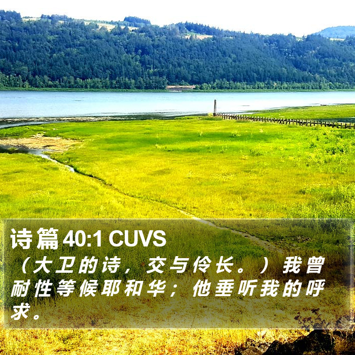 诗 篇 40:1 CUVS Bible Study