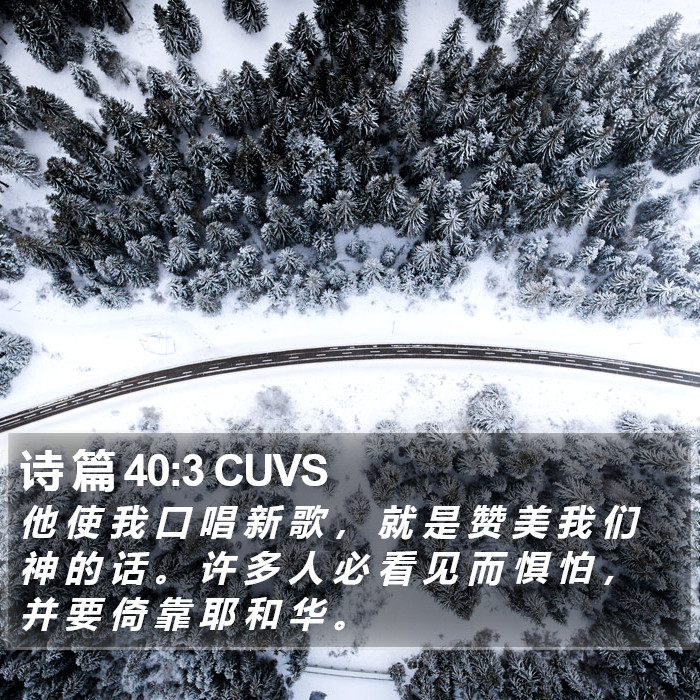 诗 篇 40:3 CUVS Bible Study
