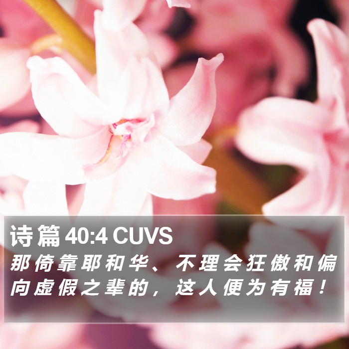 诗 篇 40:4 CUVS Bible Study