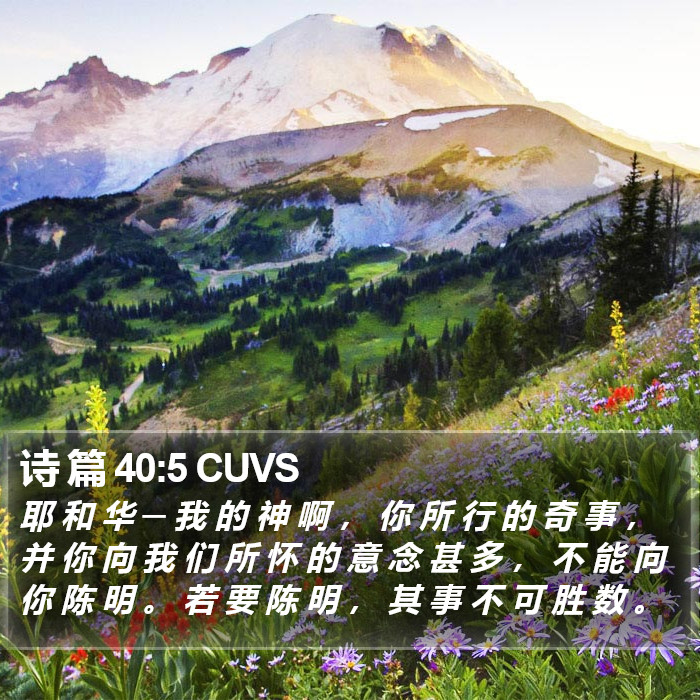 诗 篇 40:5 CUVS Bible Study