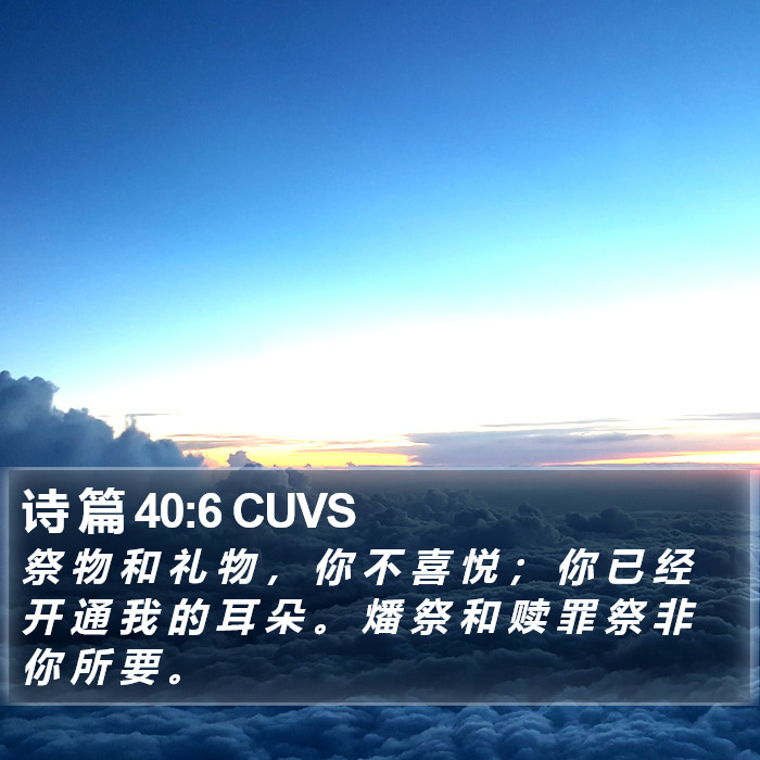 诗 篇 40:6 CUVS Bible Study