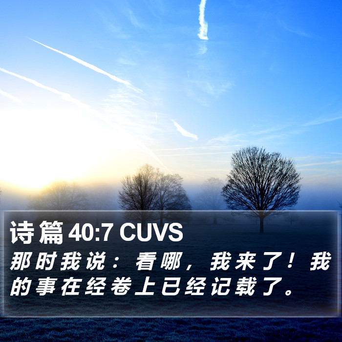诗 篇 40:7 CUVS Bible Study