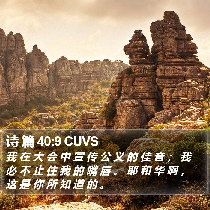 诗 篇 40:9 CUVS Bible Study