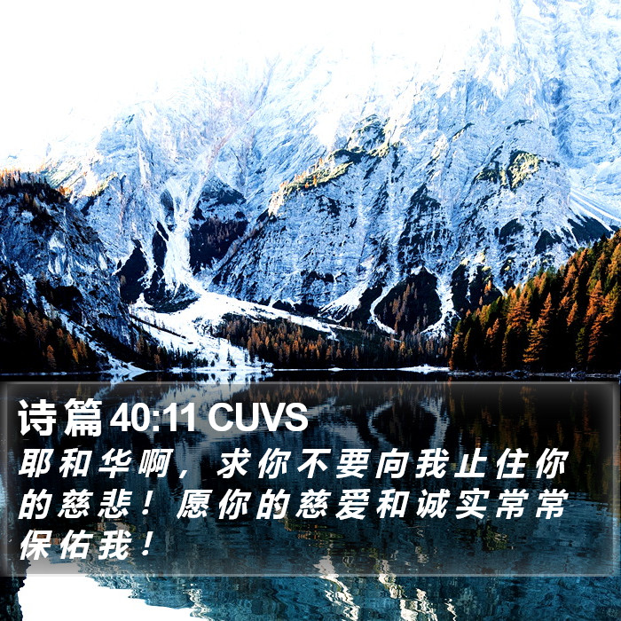 诗 篇 40:11 CUVS Bible Study