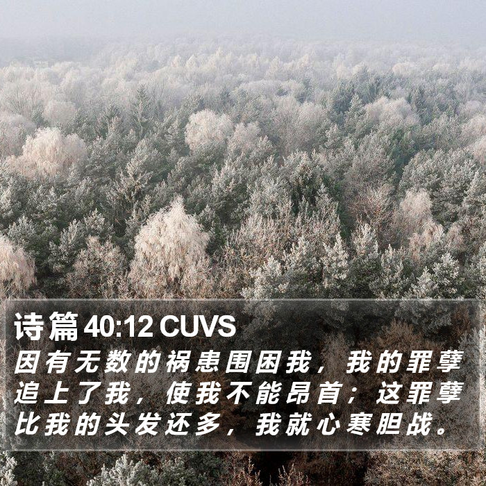 诗 篇 40:12 CUVS Bible Study