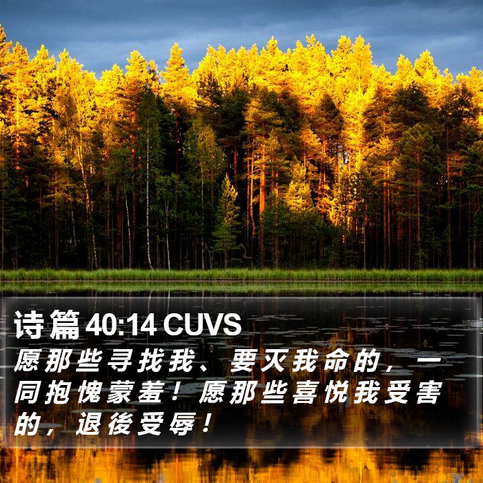 诗 篇 40:14 CUVS Bible Study