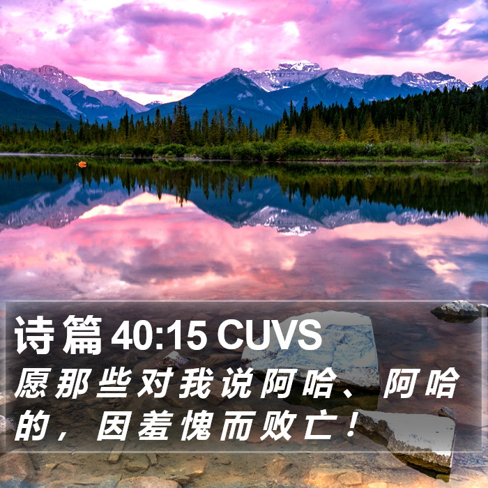 诗 篇 40:15 CUVS Bible Study