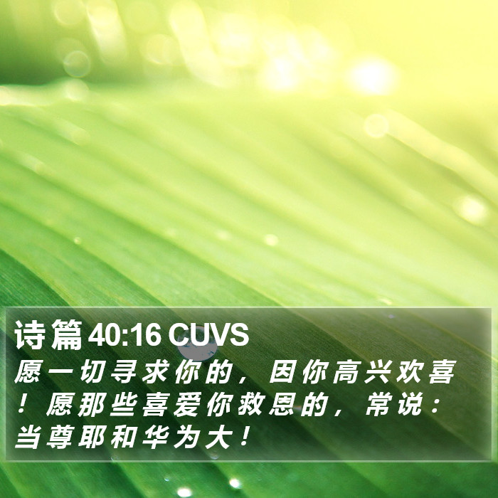 诗 篇 40:16 CUVS Bible Study