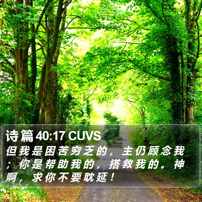 诗 篇 40:17 CUVS Bible Study