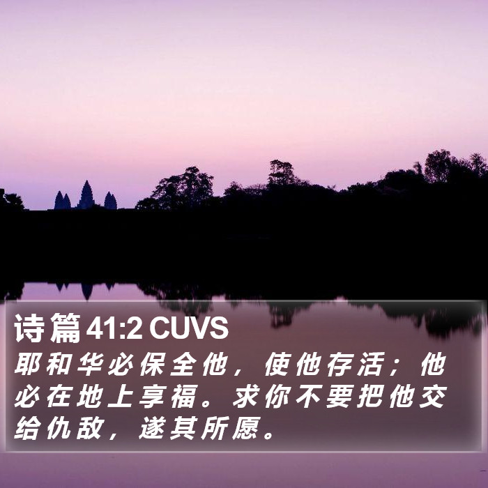 诗 篇 41:2 CUVS Bible Study