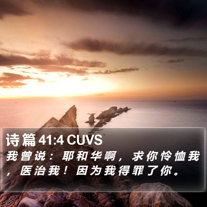 诗 篇 41:4 CUVS Bible Study