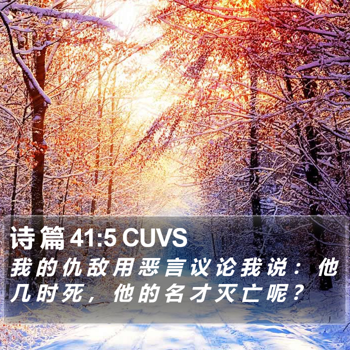 诗 篇 41:5 CUVS Bible Study