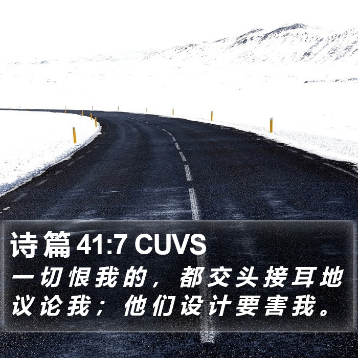 诗 篇 41:7 CUVS Bible Study