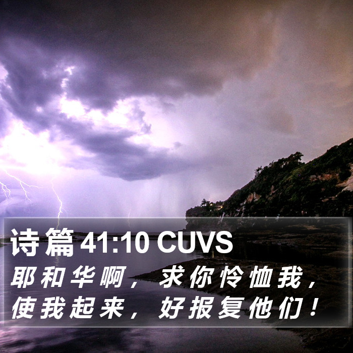 诗 篇 41:10 CUVS Bible Study