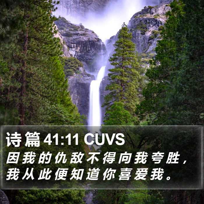 诗 篇 41:11 CUVS Bible Study