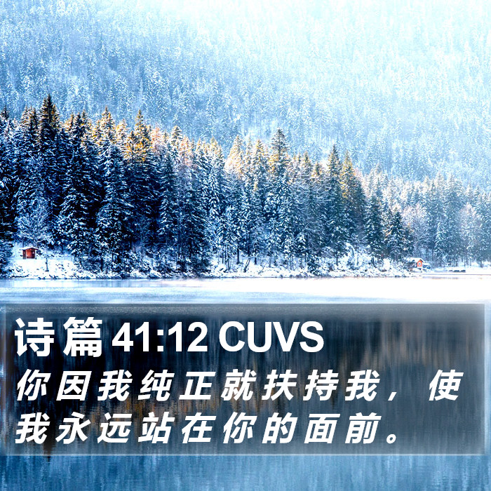 诗 篇 41:12 CUVS Bible Study