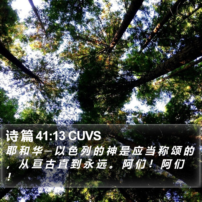 诗 篇 41:13 CUVS Bible Study