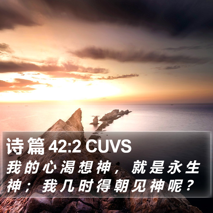 诗 篇 42:2 CUVS Bible Study