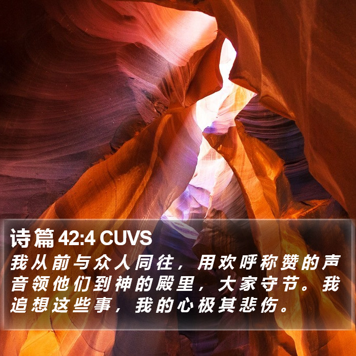 诗 篇 42:4 CUVS Bible Study