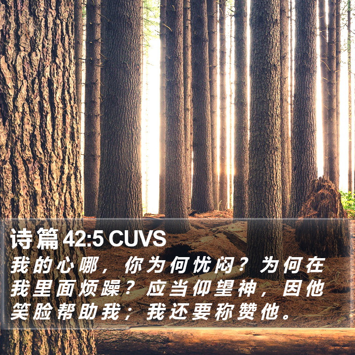 诗 篇 42:5 CUVS Bible Study